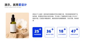 并列关系1项PPT内容页