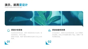 并列关系2项PPT内容页