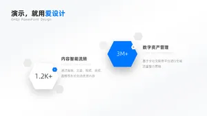 层级关系2项PPT内容页