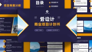 沉稳大气商业项目计划书PPT模板