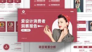 红色高级爱设计消费者洞察报告