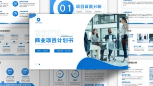 清新蓝爱设计商业项目计划书模板