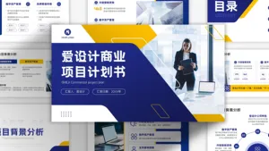 蓝黄色爱设计商业项目计划书模板