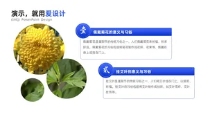 并列关系2项PPT内容页