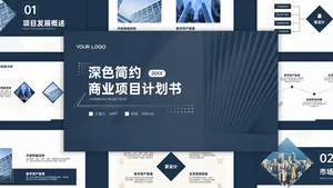 商务风蓝金通用商业项目计划书PPT模板